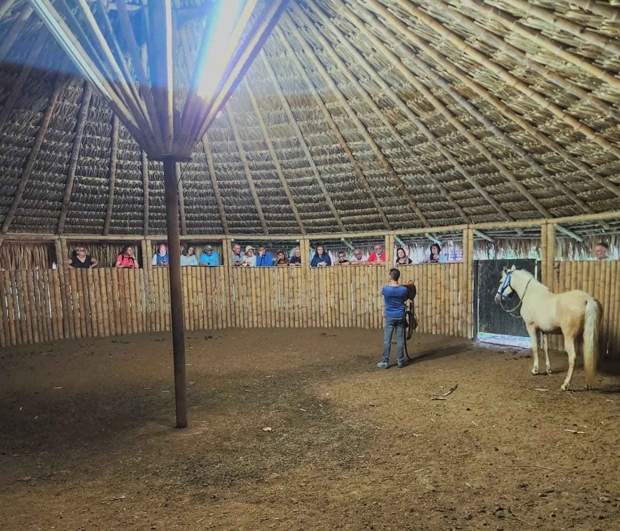 Demostración equina bajo la cubierta del picadero
