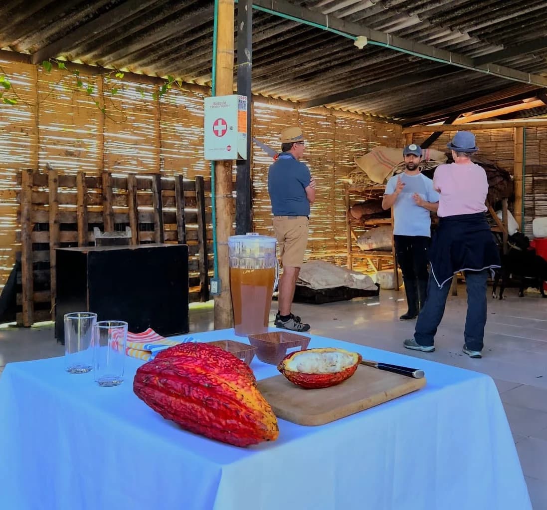 Visita a las instalaciones de fermentación