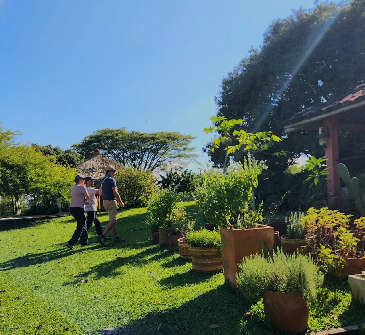 Paseo por el jardín de la finca