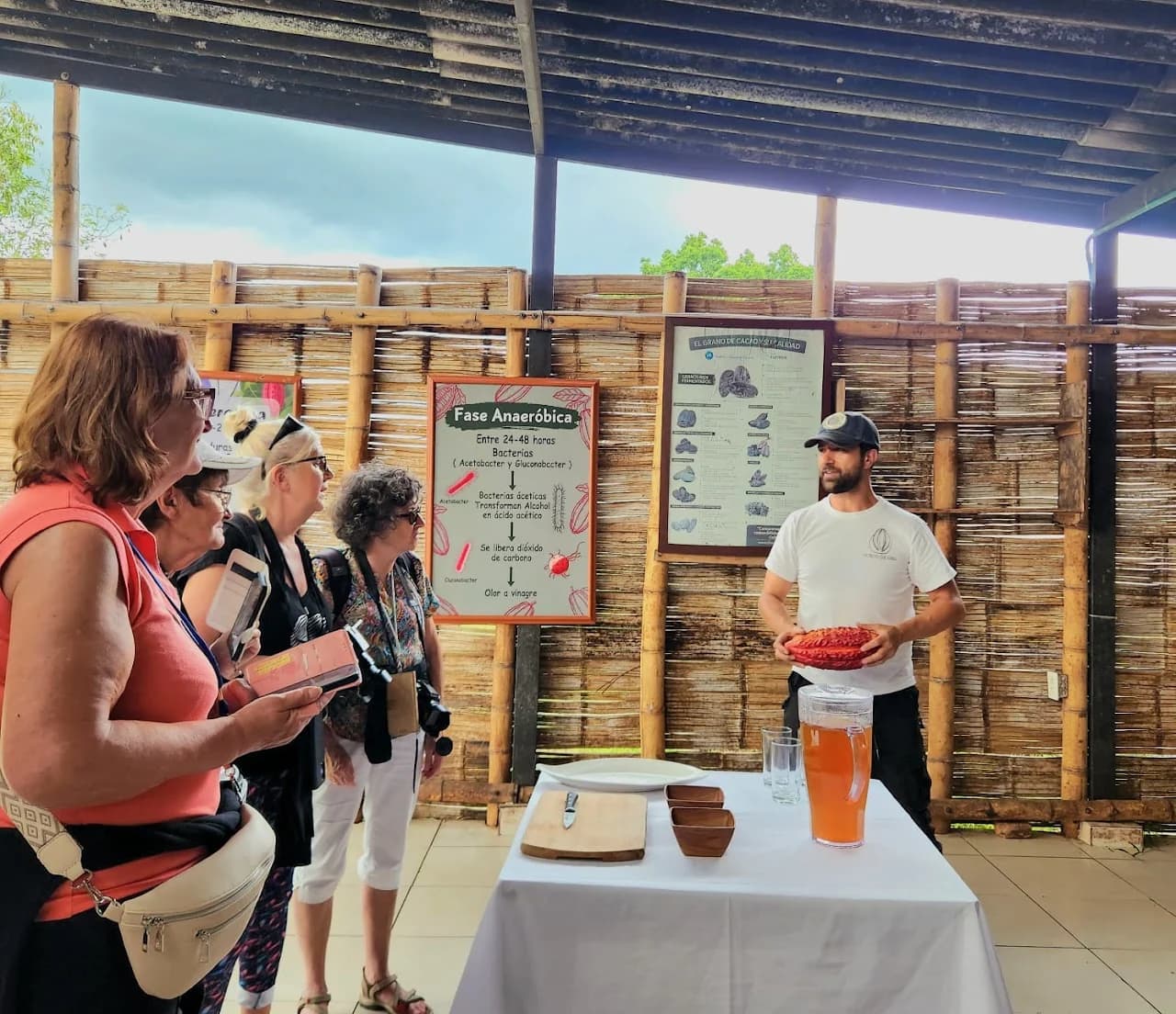 Explicación del cacao en el fermentadero
