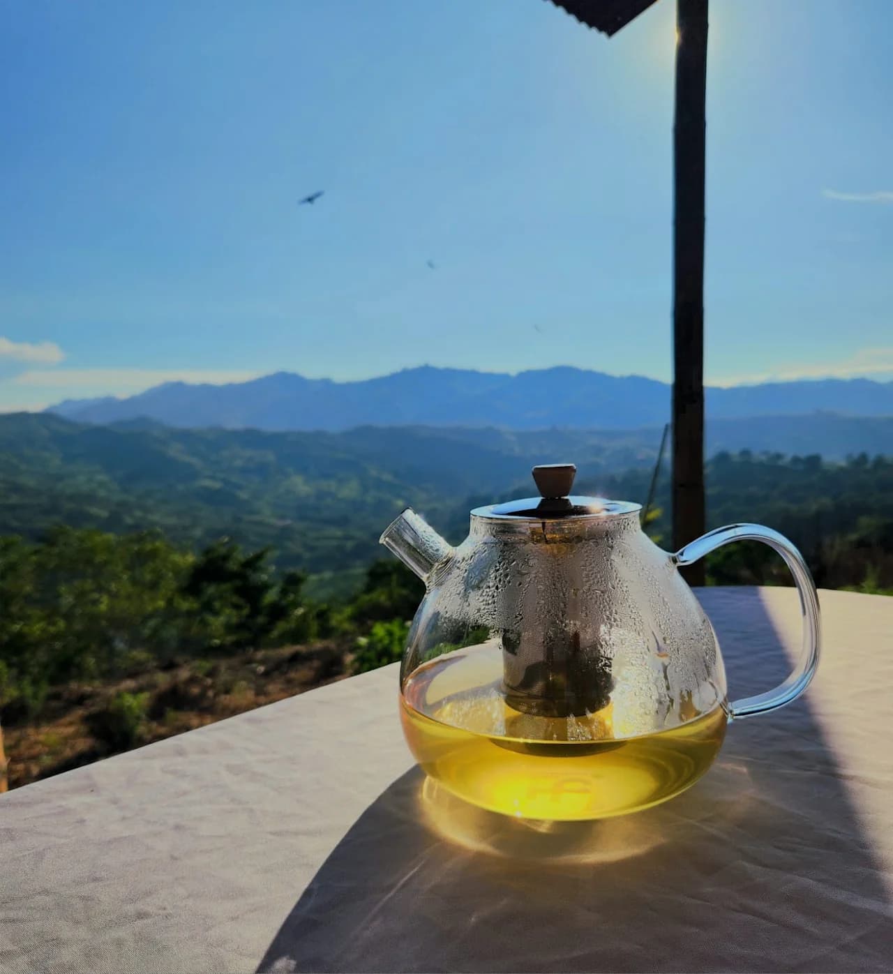 Infusión de hierbas con vistas al valle