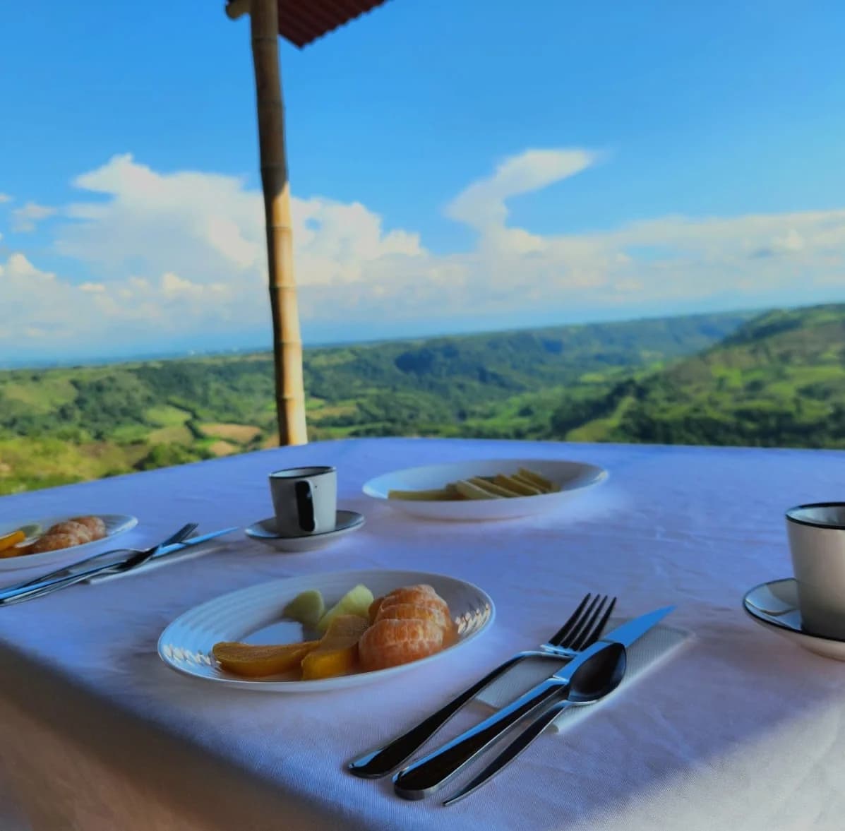 Frutas e infusión frente al paisaje